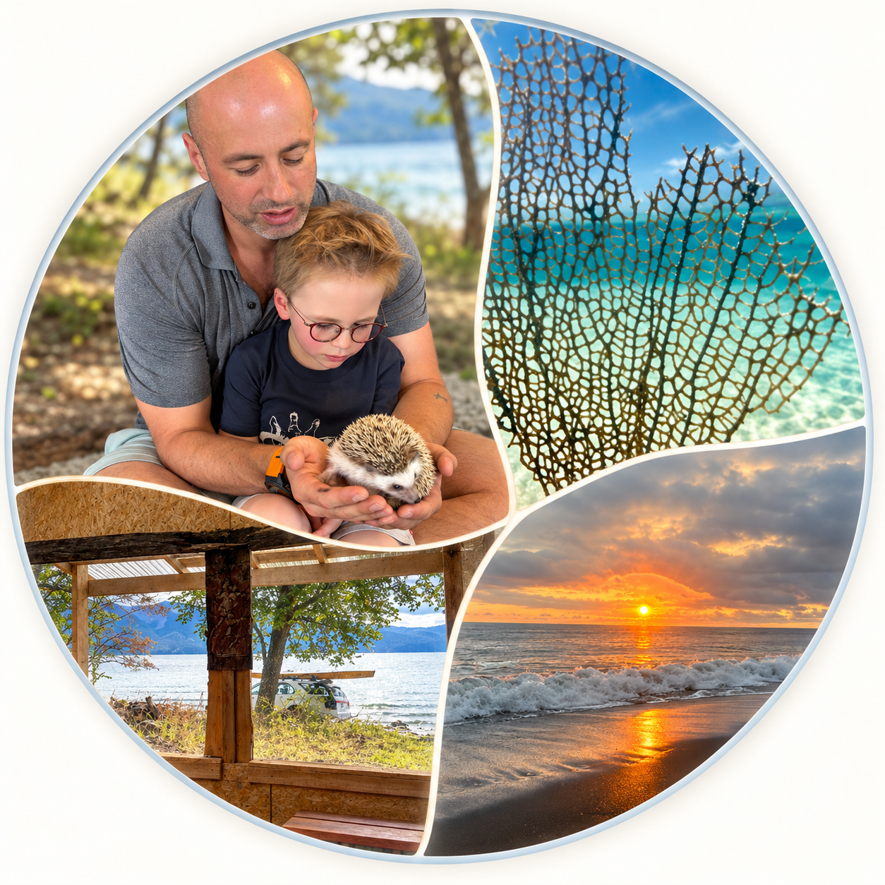 Through a Lens — Connection, Curiosity, and Hope Circular collage of an adult and child holding a hedgehog, branching sea fan, a lake viewed through a wooden window, and an ocean sunset.
